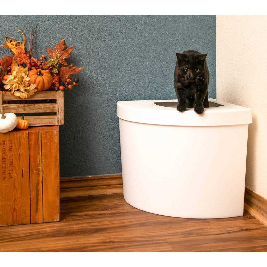 Standard Litter Box Kitangle T203