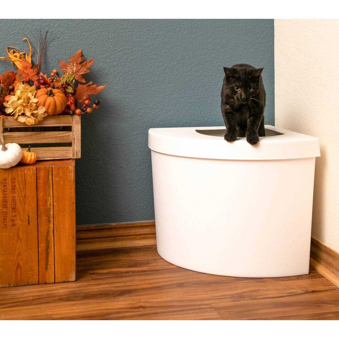 Standard Litter Box Kitangle T203