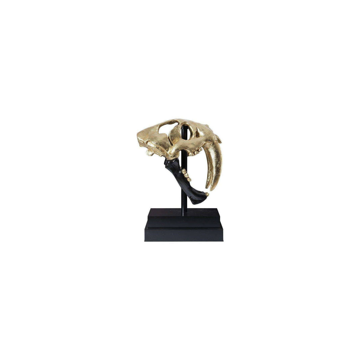 Black Gold Leaf Tiger Skull X157003