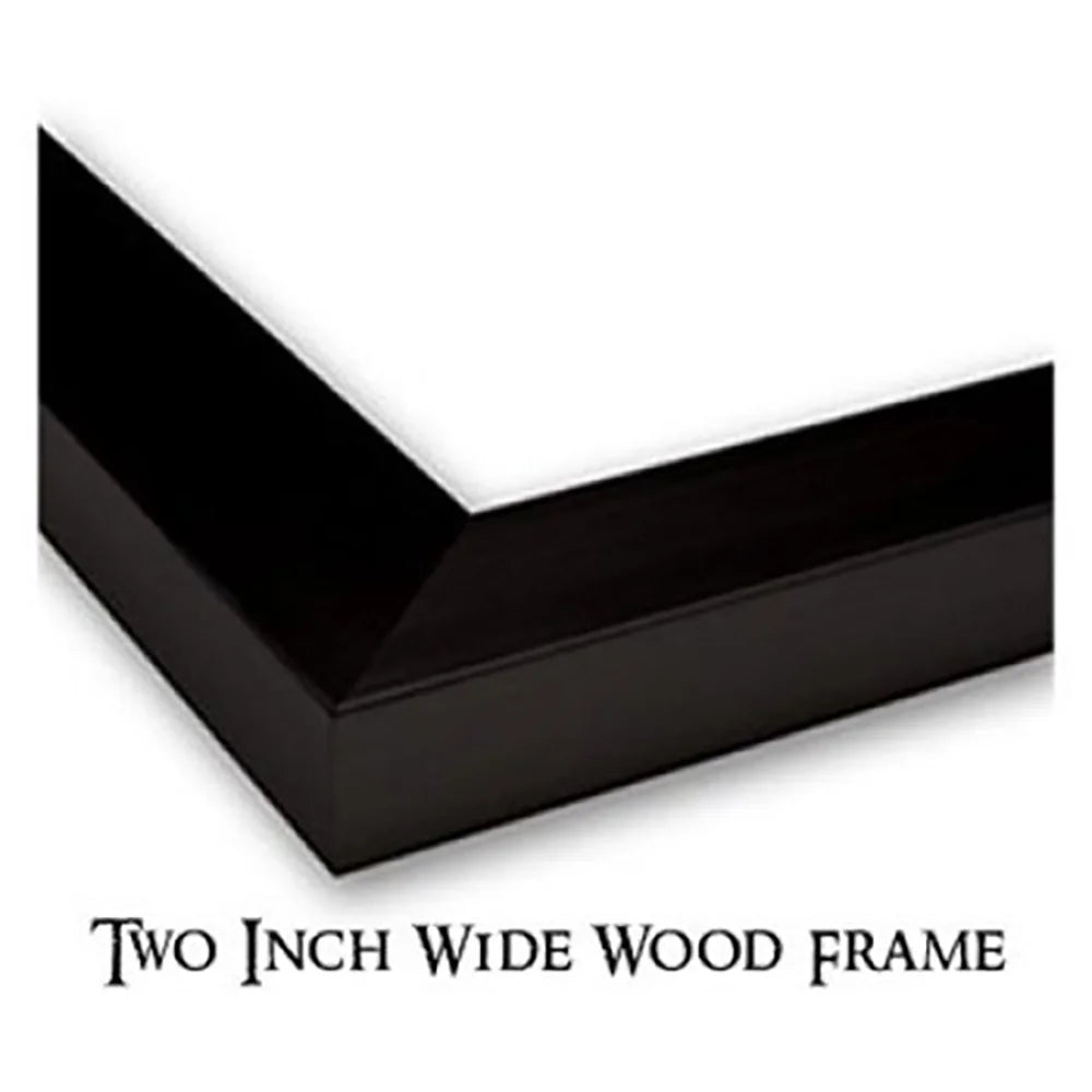 Black Modern Framed Museum Art Print G39206