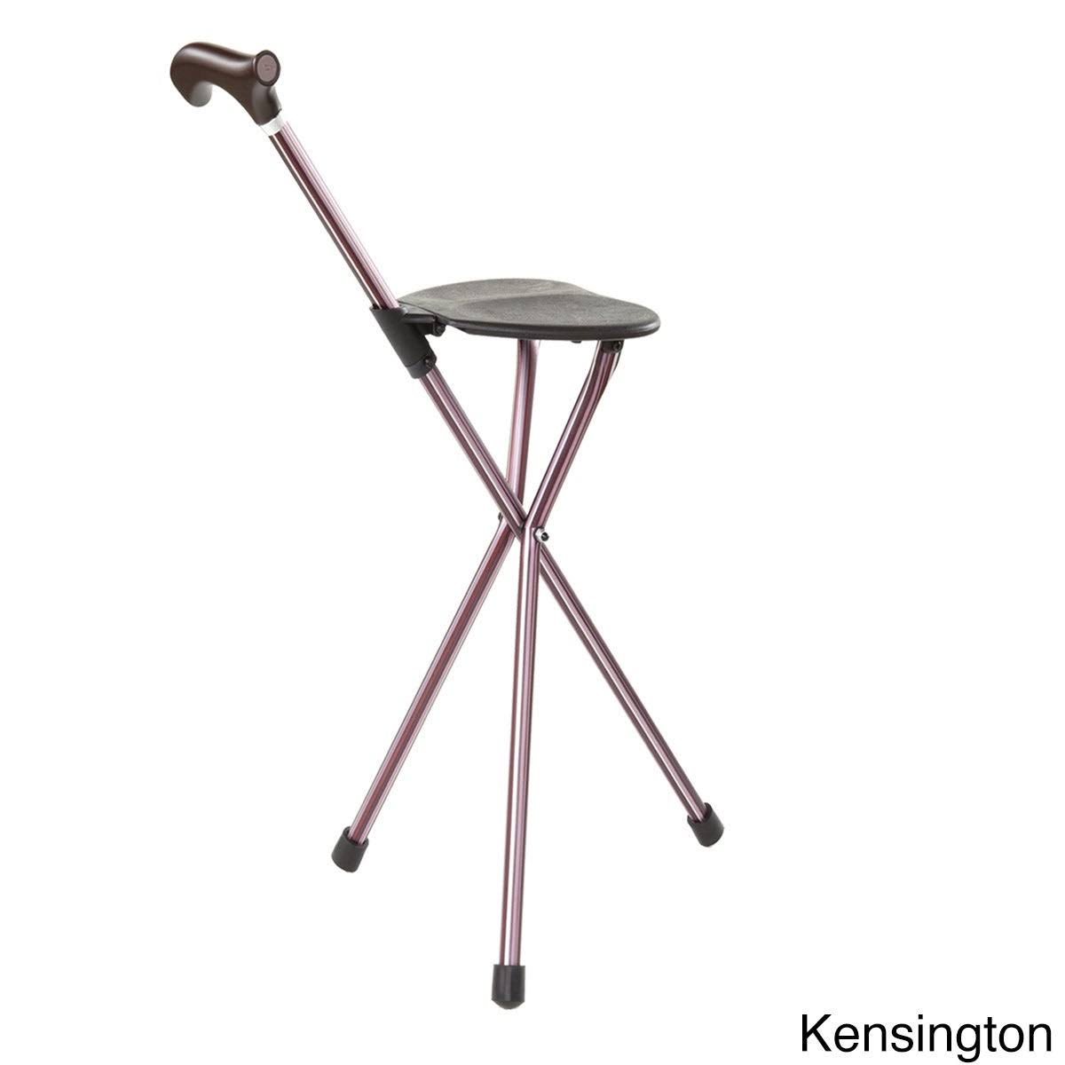 2-in-1 Walking Cane Seat Stick Y890250