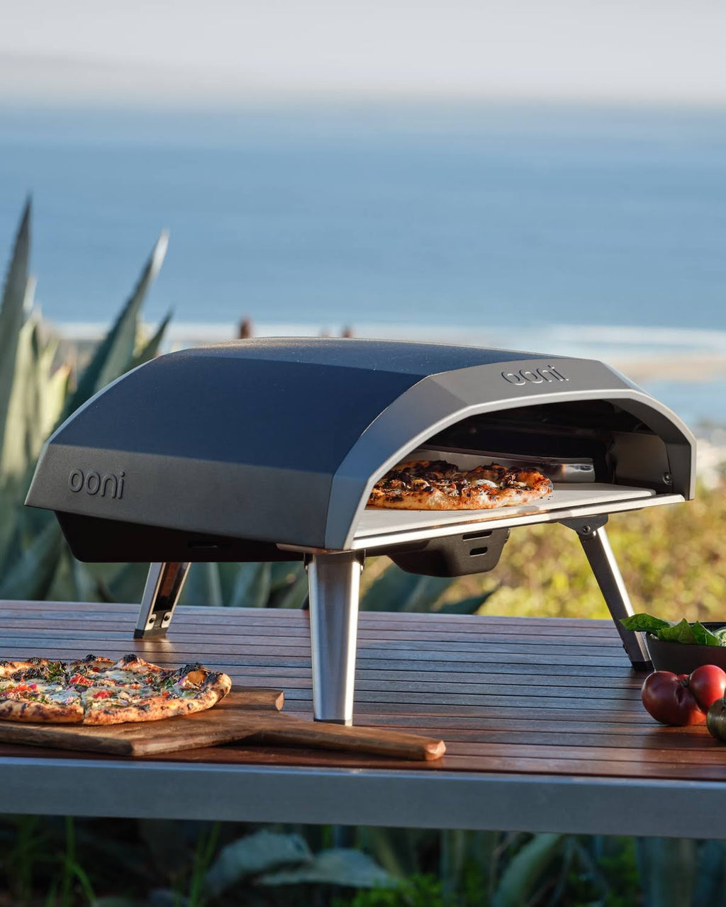 Gas-Powered Outdoor Pizza Oven R12840
