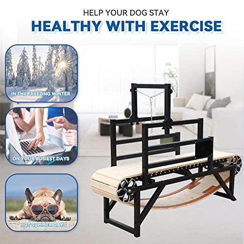 Dog Running Machine Exercise Equipment U999