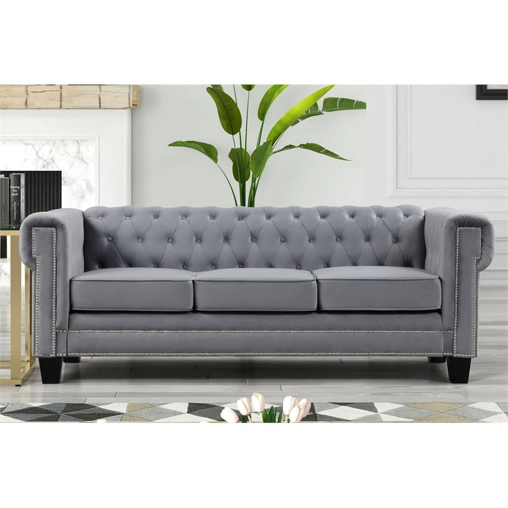 Gray 2-Piece Velvet Fabric Living Room Furniture Set D886042