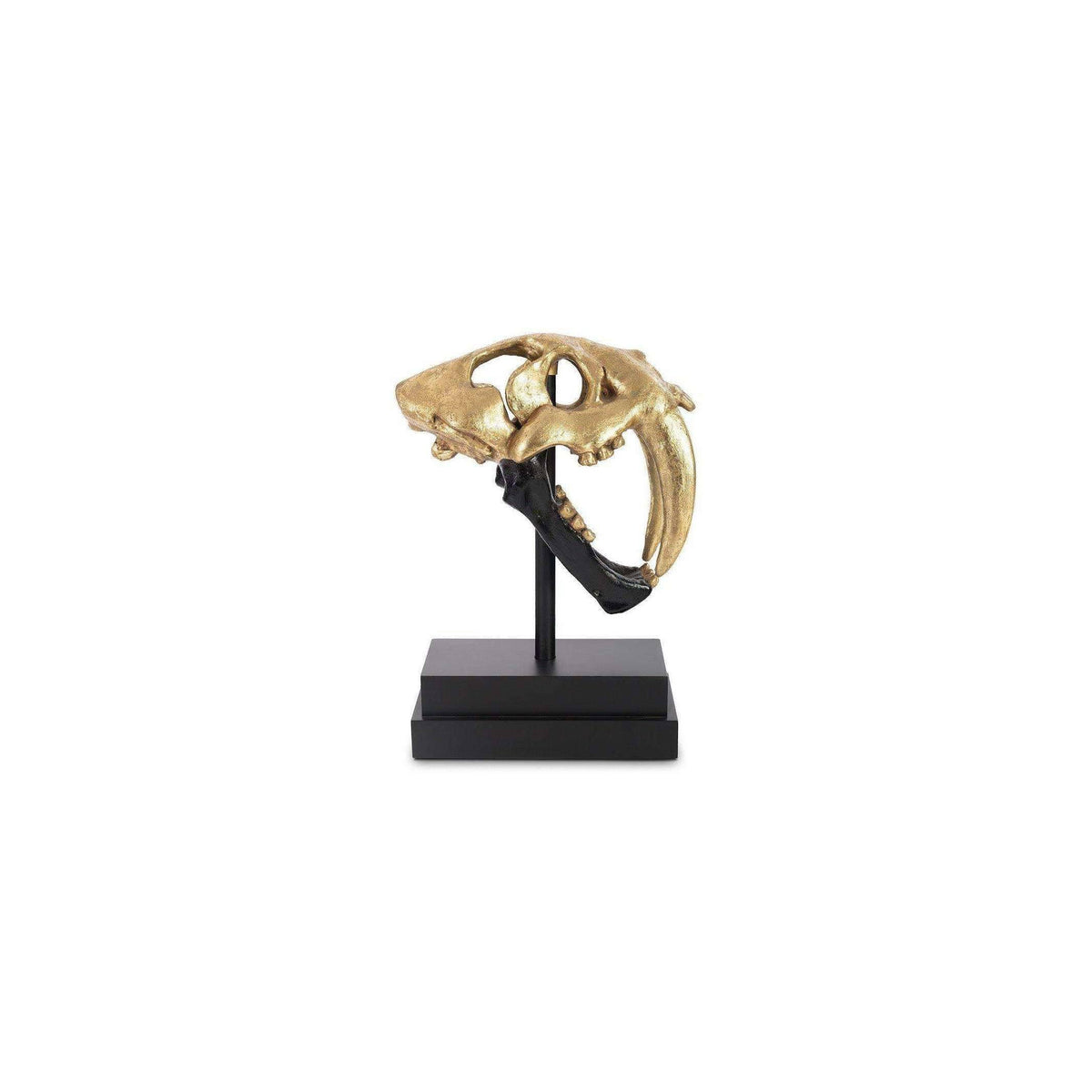 Black Gold Leaf Tiger Skull X157003