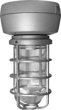 Black Ceiling Light with Globe G657846