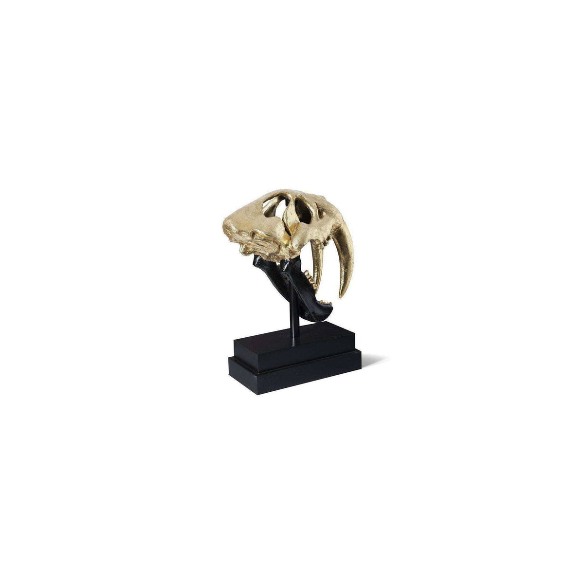 Black Gold Leaf Tiger Skull X157003
