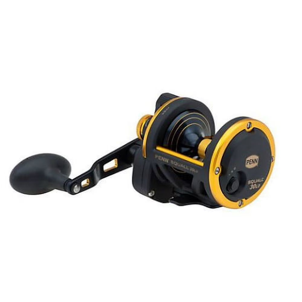 Penn Squall Lever Drag Conventional Reel A670