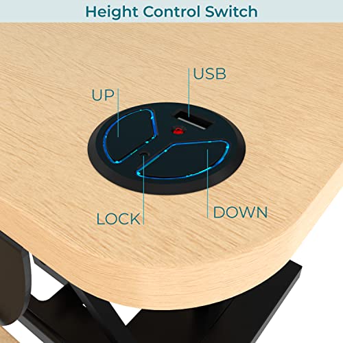 Electric Standing Desk Converter, 36 Inch, Maple L354