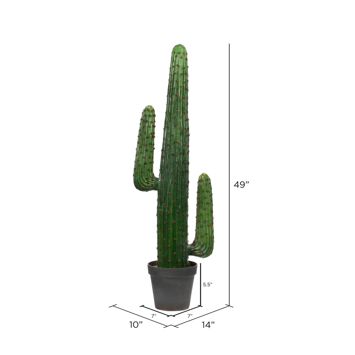 Green Potted Cactus J190