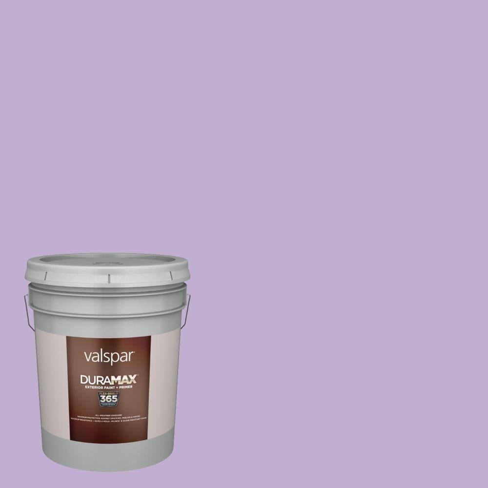 Exterior Paint (5-Gallon) V3950