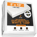 White Tarps 8' x 10' Case of 8 D761