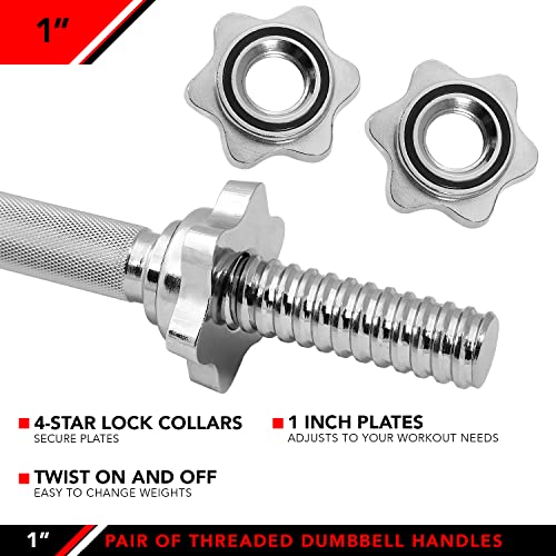 Set of 2 Threaded Dumbbell Handles with Star Collars B438