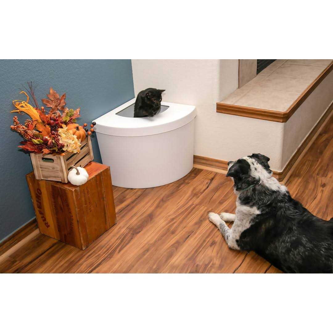Standard Litter Box Kitangle T203