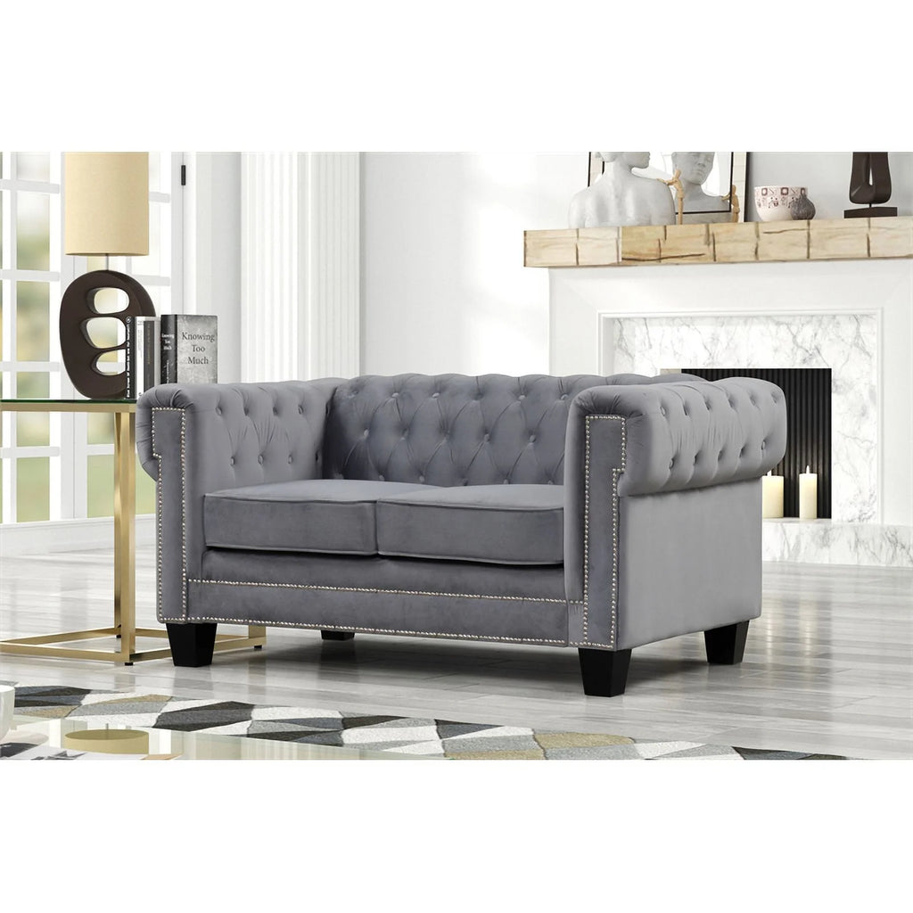 Gray 2-Piece Velvet Fabric Living Room Furniture Set D886042