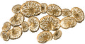 Gold Coral Plate Wall Decor P5689