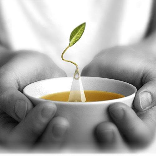 Raspberry Nectar Herbal Tea I723