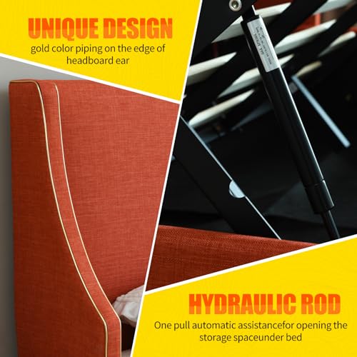 King Size Hydraulic Lift Bed with Gold Line Accents E6489