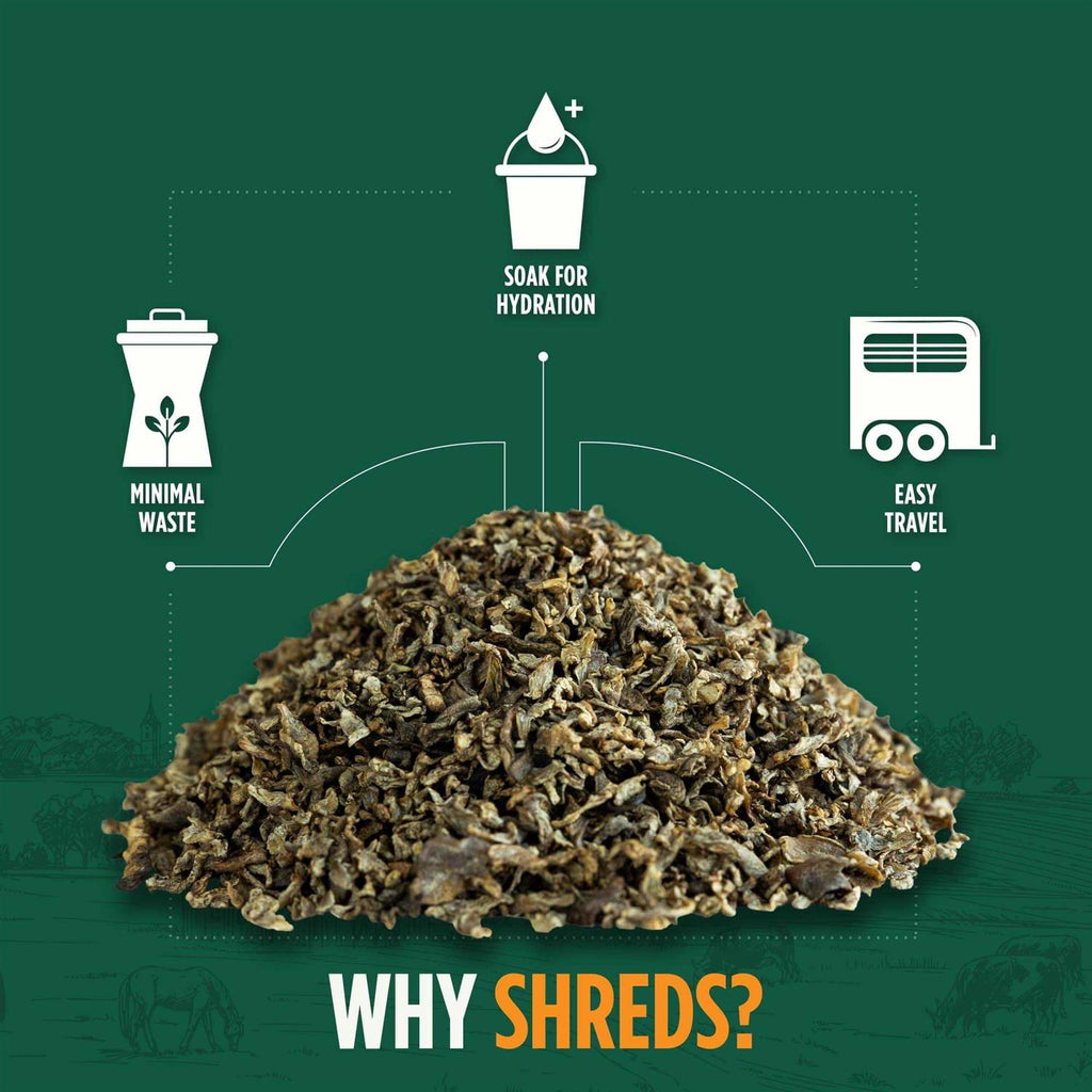 Beet Pulp Shreds E66061