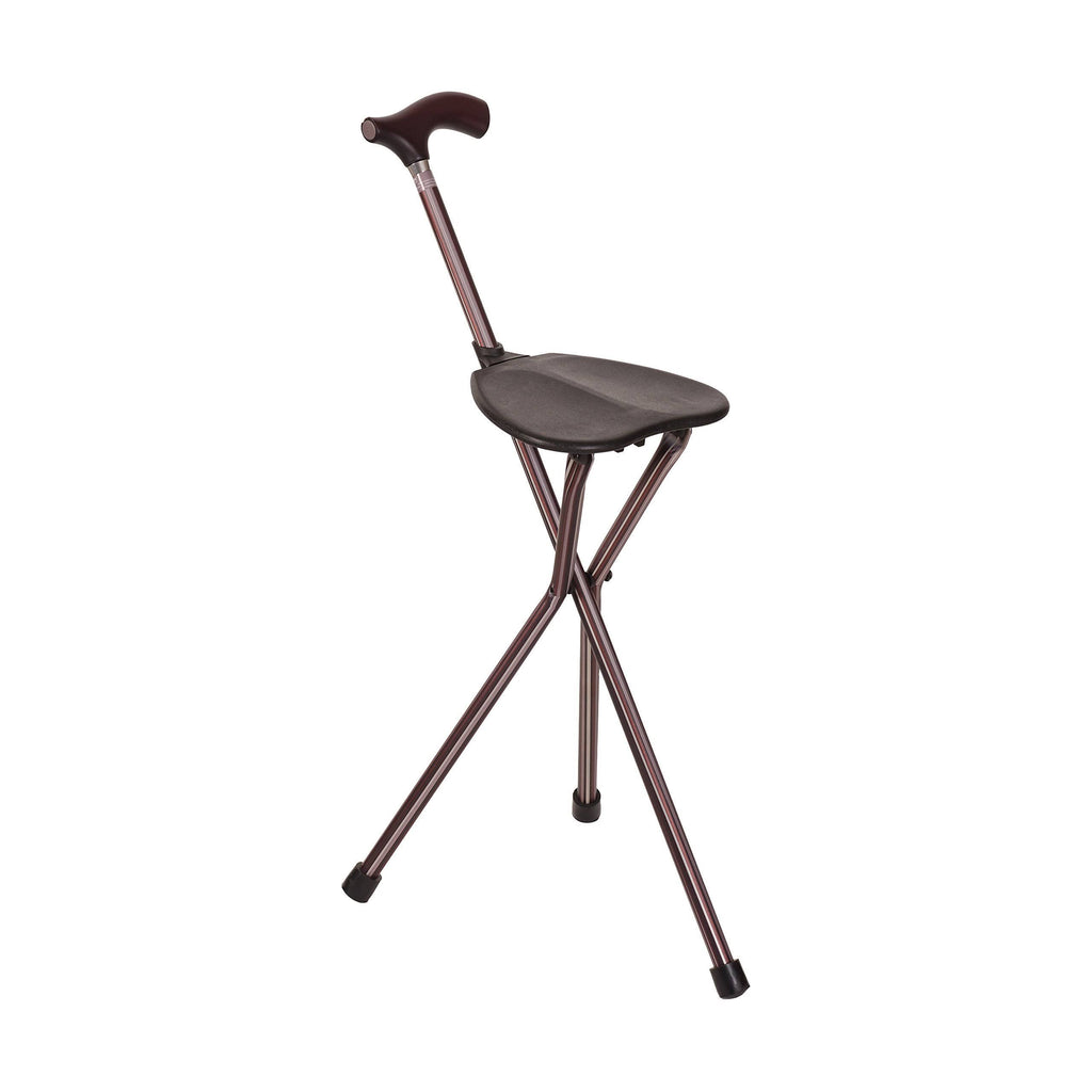 2-in-1 Walking Cane Seat Stick Y890250