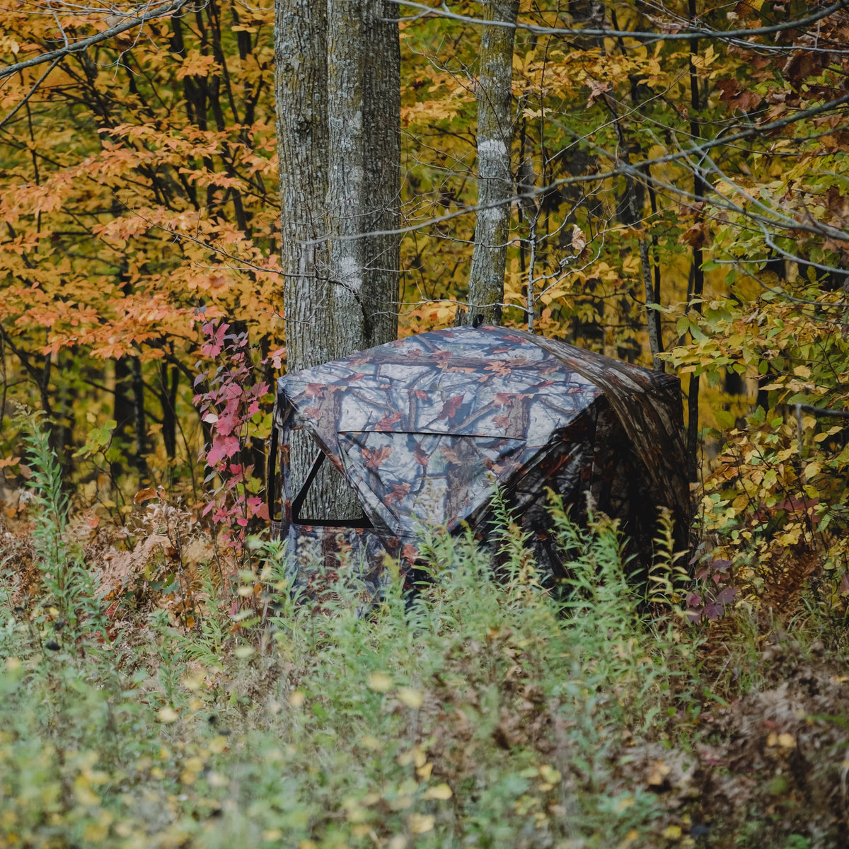 Portable Hub Blind, 2-Person, Woodland C80798