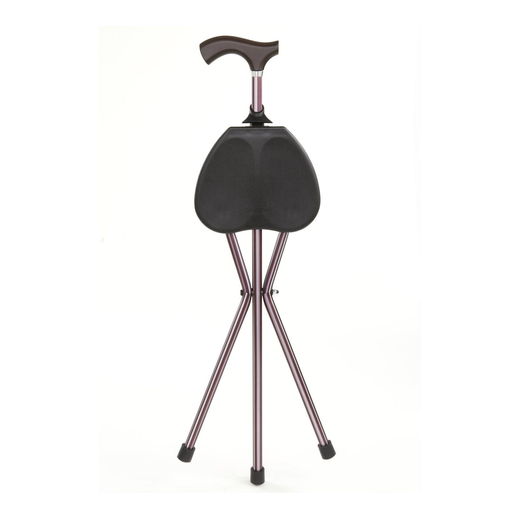 2-in-1 Walking Cane Seat Stick Y890250
