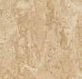 Marmoleum Composition Tile X215299