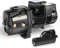 Cast Iron Convertible Jet Pump with Ejector Kit P2506
